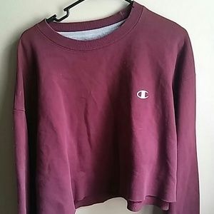 Cropped champion hoodie